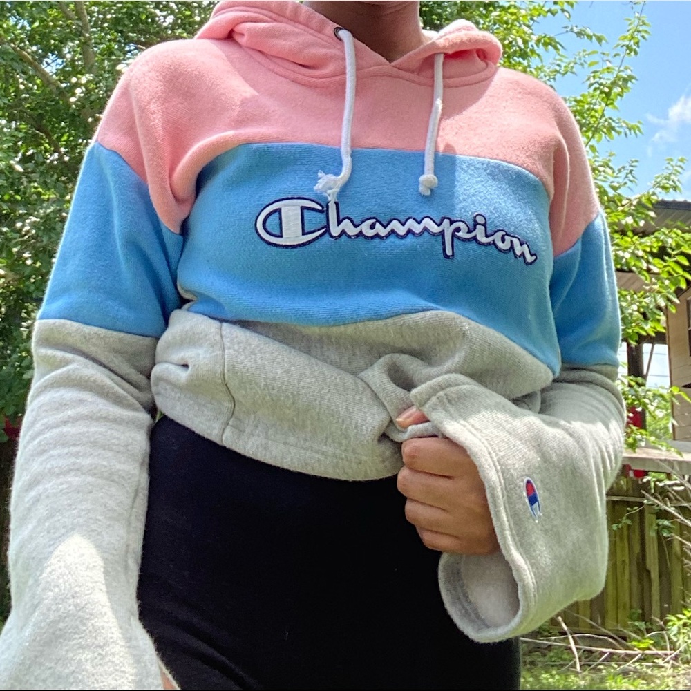champion cropped hoodie